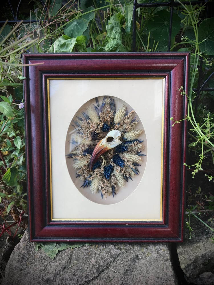 Image of Ornate Framed Male Hornbill 