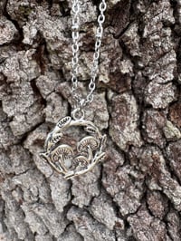 Image 2 of Fairy Circle