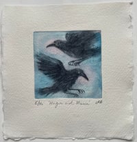 Image 2 of Hugin and Munin no 2