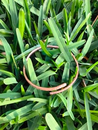 Image 2 of Wild Copper Roots