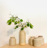 Image 3 of mustard stoneware white pots (x3)