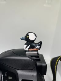 Image 3 of Hooded Merganser Hotshoe Cover