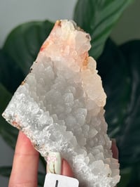 Image 10 of CHOOSE YOUR OWN SHIMMERY CHALCEDONY CLUSTERS -BULGARIA-