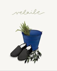 Image 2 of Lámina Velaile