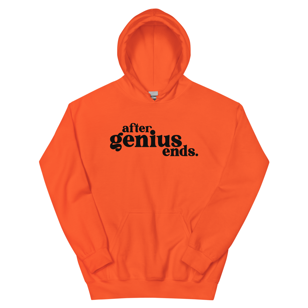 Image of ** AFTER GENIUS ENDS **