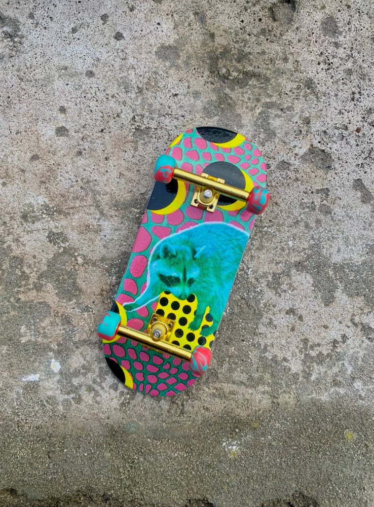 Image of raccoon popsicle36mm complete