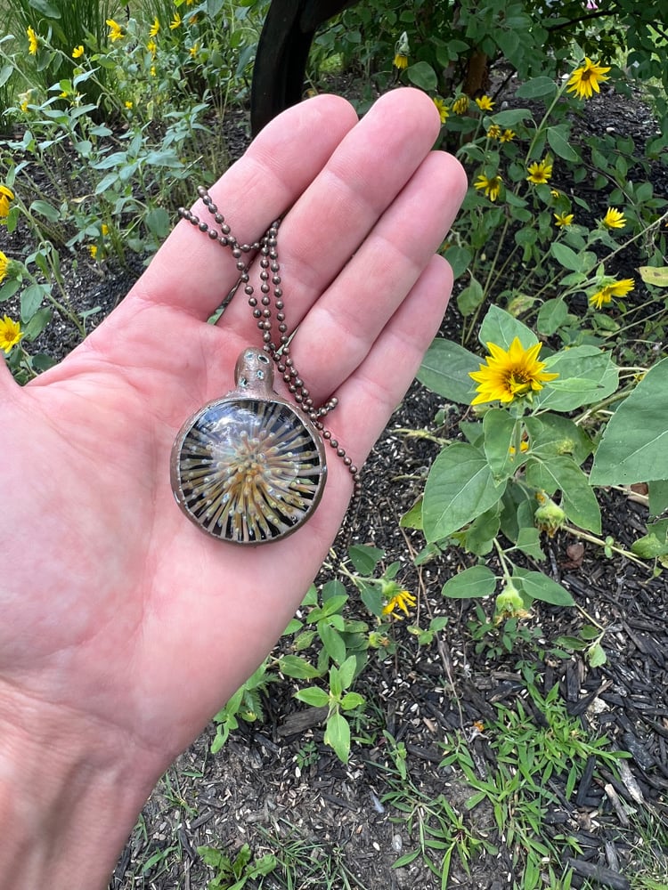 Image of Seeds of the pine pendant 