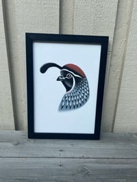 Image 4 of Quail 