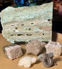 Ocean Bundle
