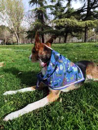 Image 4 of Pañuelo CHUCHOS FEAPOS