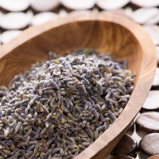 Lavender Flower Buds