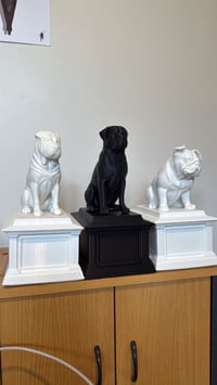 Image 1 of Pet urn 