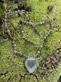 Image 1 of Labs and Seaglass