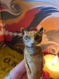 Image 5 of Freckles the cat