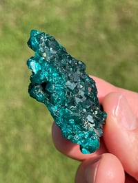 Image 5 of Dioptase Specimen #2214
