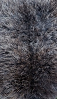 Image 4 of Harting Black Sheepskin #6