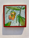 Jewelweed 