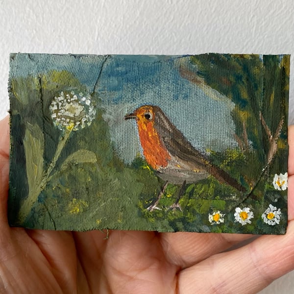 Image of robin with dandelion clock