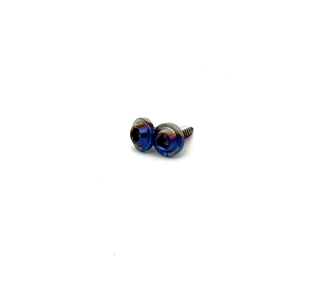 Titanium license plate bolts.
