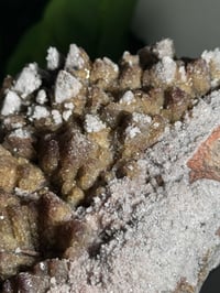 Image 2 of XL SUGARY DOG TOOTH CALCITE -MEXICO- B
