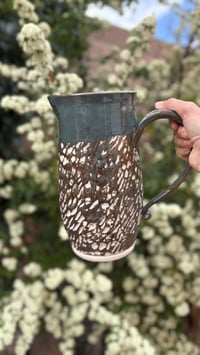 Image 4 of Pitcher 02