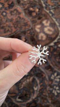 Image 2 of Radiolaire 2