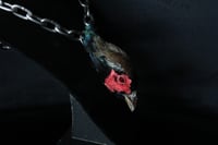 Image 3 of Dead Good taxidermy pheasant head necklace 