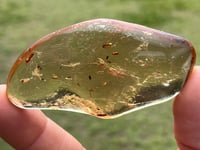 Image 5 of Copal Amber With Preserved Insects #2631