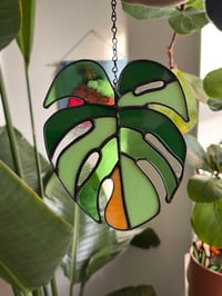 Image 2 of MONSTERA LEAF