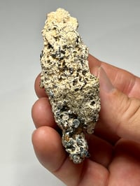 Image 11 of Hessonite Garnets On Matrix Specimen #2450