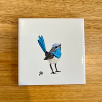 Image 1 of Fairywren Coaster
