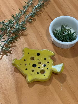 Image of Box fish herb stripper