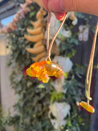 Image 1 of Baltic Amber Seal pendant 