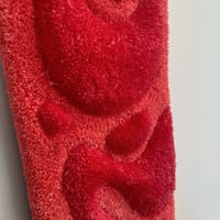 Image 2 of Fantasia rilievo salmone