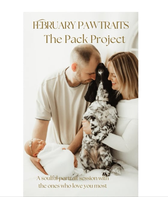 Image of Pawtraits mini sessions deposit only 