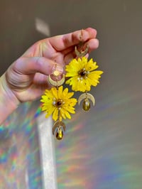 Image 2 of 🌼Yellow Daisy Shaniquas🌼