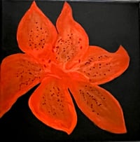 Image 2 of Tiger Lily 