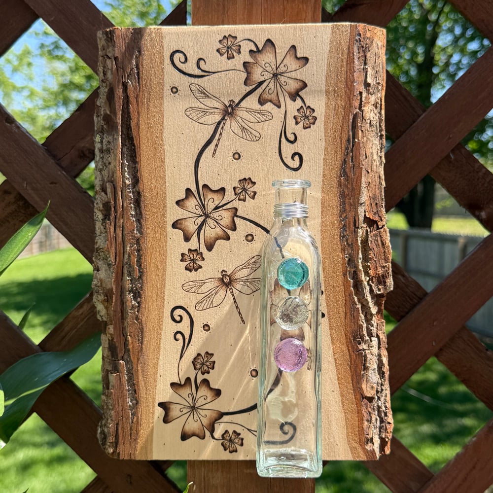 Image of dragonfly whimsy propogation station wood art 