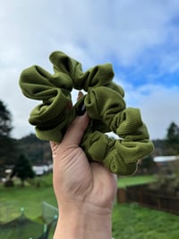 Image 3 of Green Velvet Ribbed Scrunchie