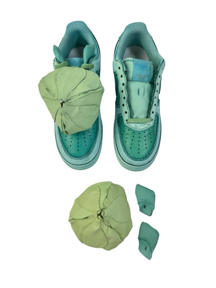 Image of Air Force 1 Bulbasaur