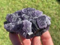 Image 7 of Purple Cubic Fluorite Specimen #1956