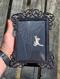 Image 1 of Cat Collection - Cat engravings with real preserved web- O