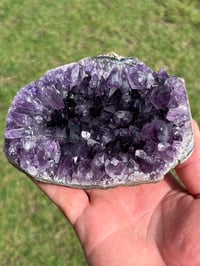 Image 11 of Amethyst |Uruguay #3066
