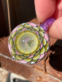 Image 1 of Celestial Strawberry