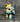 Monster Lit Donkey Boy (Retroband)