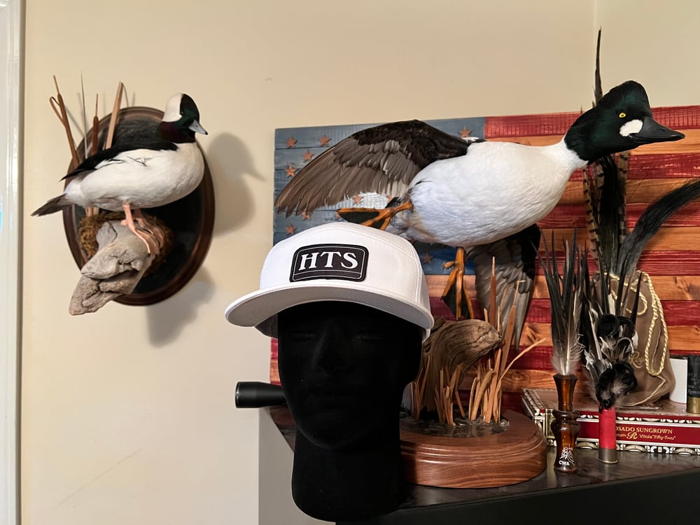 Snow Goose Patch Hat