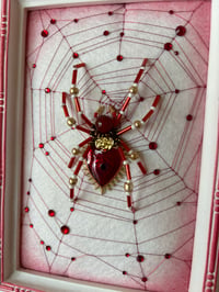 Image 2 of Red Heart Spider