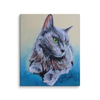 Image 4 of Domestic Longhaired Royalty