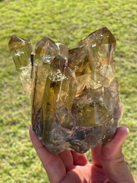 Image 2 of Smoky Citrine Points Cluster #1877
