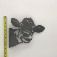 Image 4 of Cow